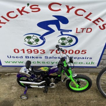 Spike Easy Rider 14” Wheel Unisex Kids Bike. No1. £60