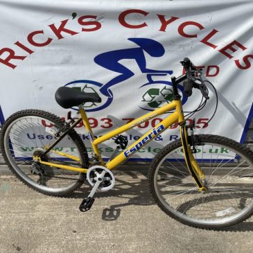 Esperia Ortles 17.5” Frame Mountain Bike. £100