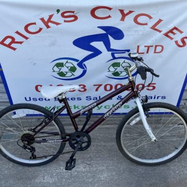 Avigo Franca 24” Wheel Girls Mountain Bike. £65