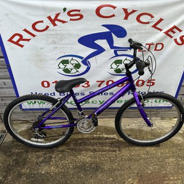 Raleigh Salsa 24” Wheel Girls Bike. £85. Refurbished!!