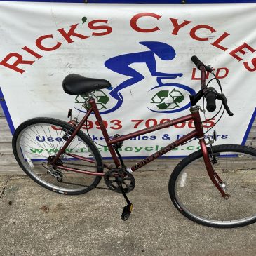 Raleigh Redwood 21.5” Frame Ladies Bike. £120. Refurbished!!