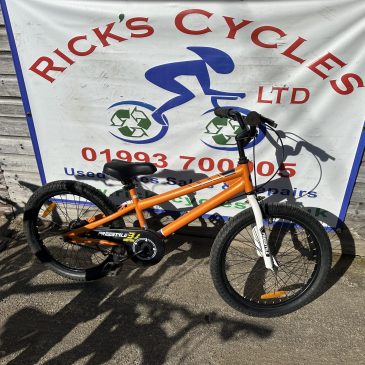 Royalbaby Freestyle 20” Wheel Boys Bike. £65