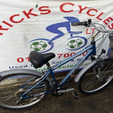 Raleigh Savanna 15” Frame Mountain Bike. £75.