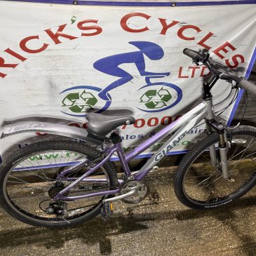 Giant Rock 14” Frame Girls/Ladies Mountain Bike. £150, Serviced.