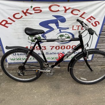 Raleigh FireFly 22” Frame Unisex Mountain Bike. £95