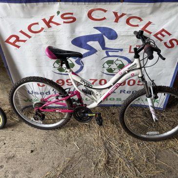 Avigo Rose 17” Frame, 24” Wheel Girls Kids Bike. £75. Great Condition