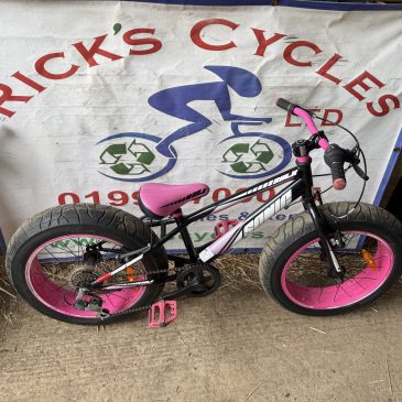 Sonic Bulk Fat Tyre 20” Wheel Unisex Kids Bike. £75. Serviced