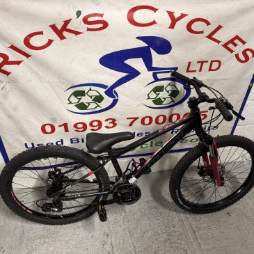 Carrera Luna 24” Wheel Girls Bike. £140. Serviced, Great