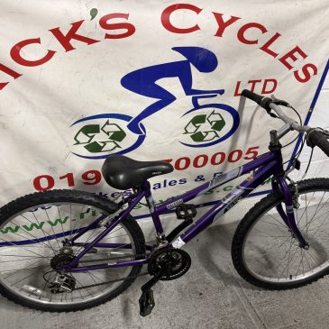 STUDENTS!! Raleigh Vixen 16” Frame Ladies Bike. £95. Serviced, Free Lights!!