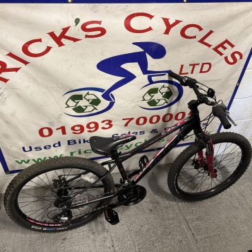 Carrera Luna 24” Wheel Girls Bike. £130. Serviced, Great